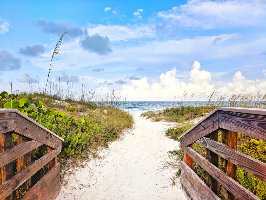 A wooden walkway over the dunes to the sea