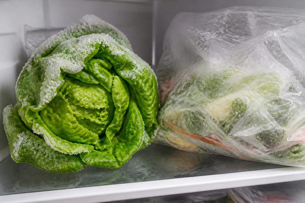 A head of lettuce and a bag of salad on a refrigerator shelf with ice crystals across the leaves and frost on the bag.